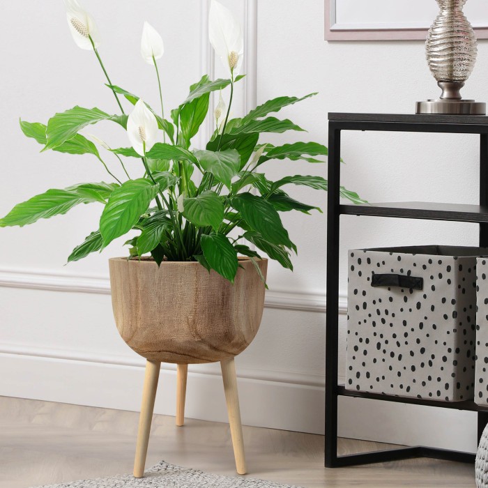Hortico Gaia Wooden Planter with Legs, Tall Indoor Plant Pot for House Plants with Waterproof Liner, D29 H43 cm